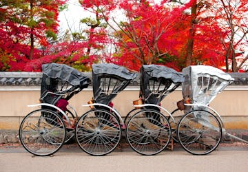 Transport from your hotel to the centre of Takayama by a rickshaw